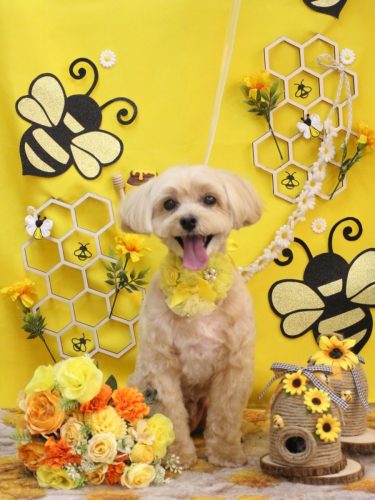 20250914ムックくん