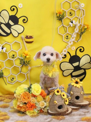 20250914れおんくん