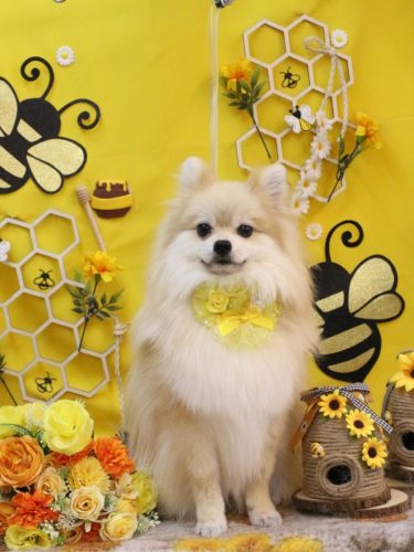 20250914なちゅくん