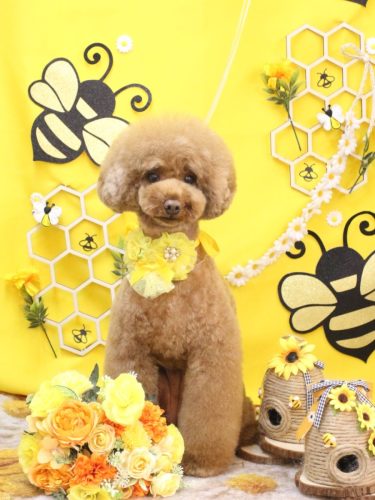 20250915ろこちゃん