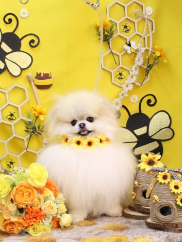 20250915さらりちゃん