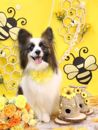 20250915マリーちゃん