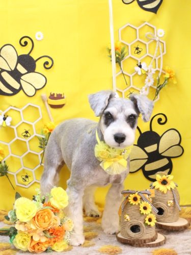 20250915ふたばちゃん