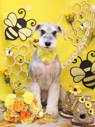 20250915りくくん