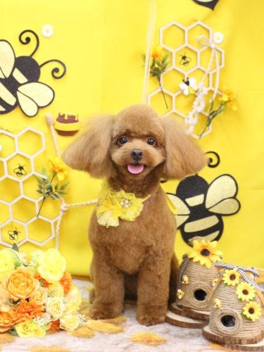 20250915ベルくん