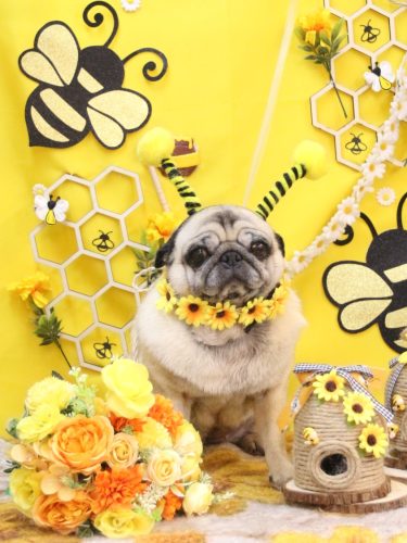 20250915くりこちゃん