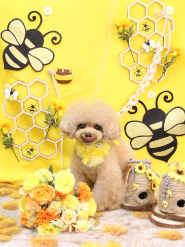 20250916ラブちゃん