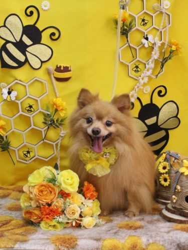 20250916リーくん