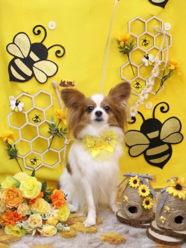 20250916ぎゅうちゃん