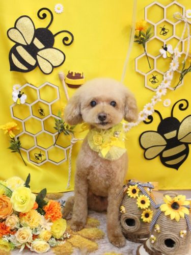 20250916ココアくん