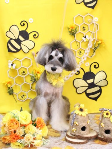 20250916ルナちゃん