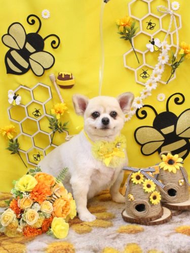 20250917ポロくん