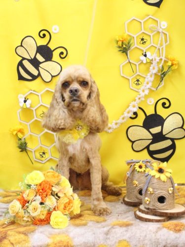 20250917グルートくん