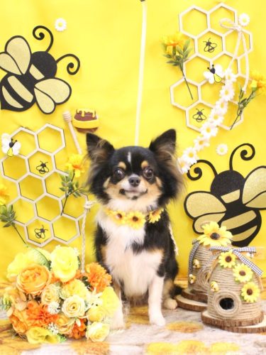 20250917天ちゃん