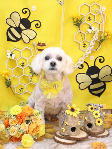 20250917ロアくん