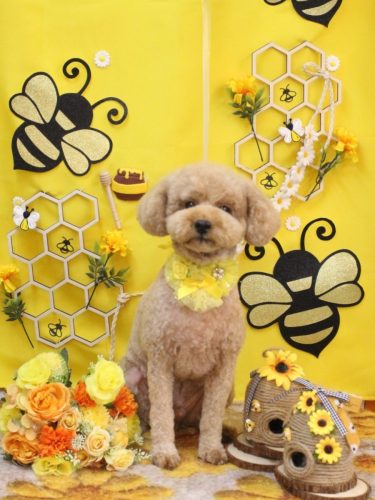 20250917モナカくん