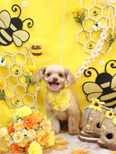 20250917おはぎちゃん