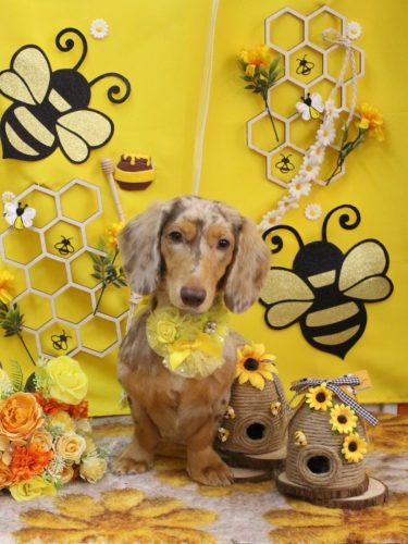 20250917栞ちゃん