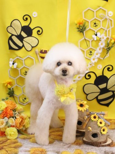 20250917ピッピちゃん