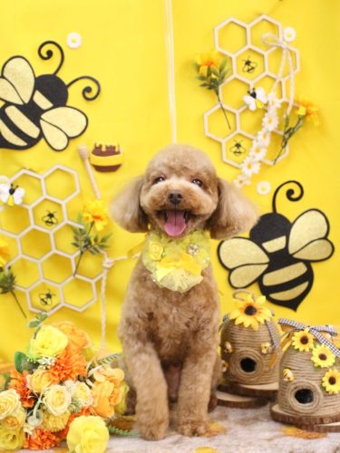 20250917マロンくん