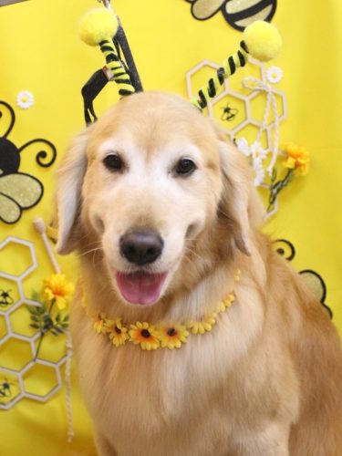 20250918アネラちゃん