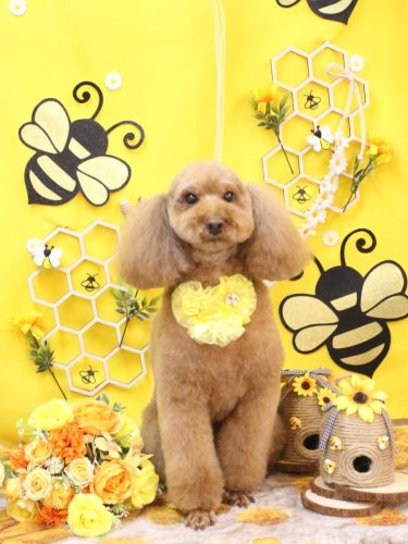 20250918まろんちゃん