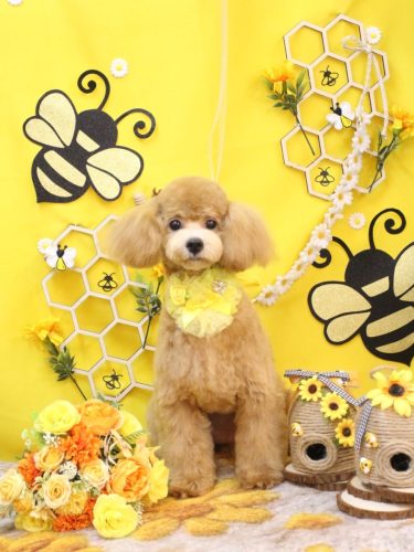 20250918むぎちゃん