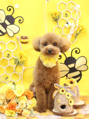 20250918モコくん