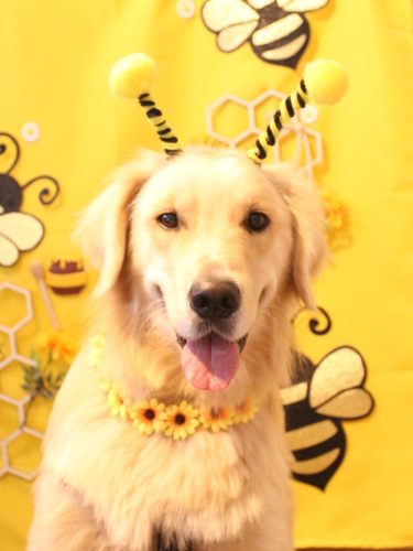 20250919レオくん