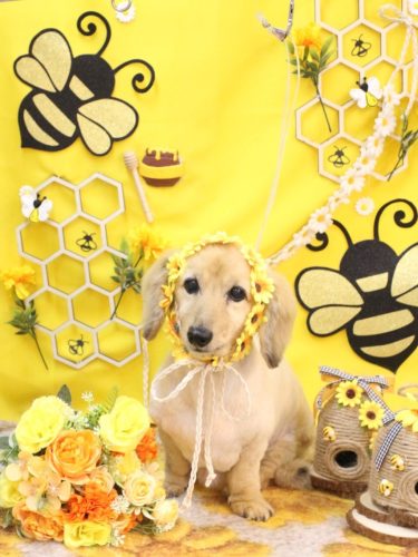 20250919ここあちゃん