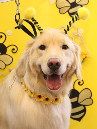 20250919ナナちゃん