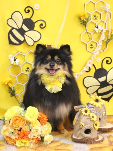 20250919アンバーちゃん