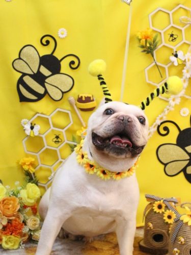 20250919まろんくん