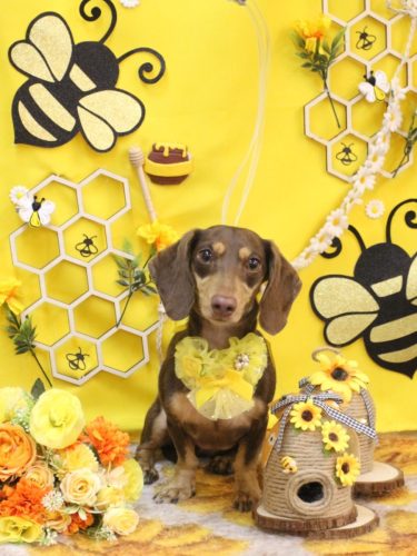 20250919チャオズちゃん