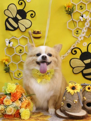 20250919マロ太くん