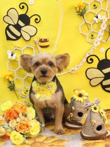 20250919ショーンくん