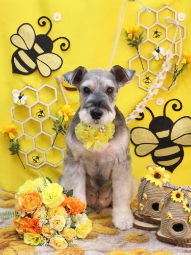 20250920小鉄くん