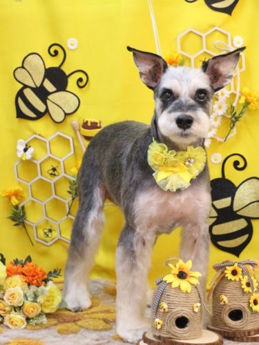 20250920銀次くん