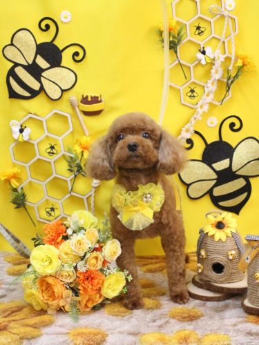 20250920アリームちゃん