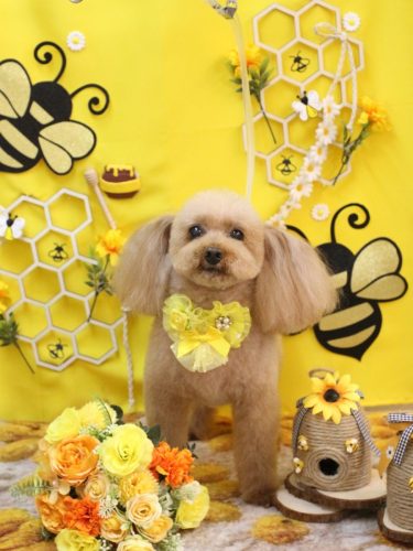 20250920メルちゃん