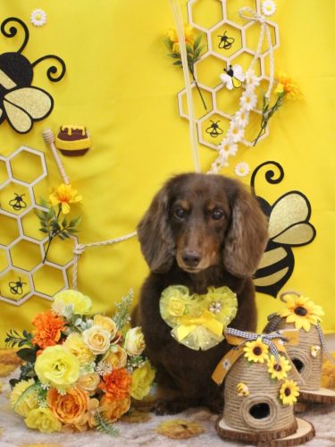 20250920ジョナくん