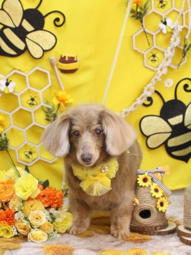 20250920桃ちゃん