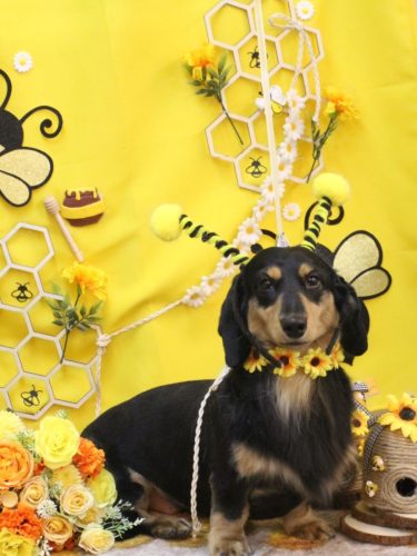 20250920おうたくん