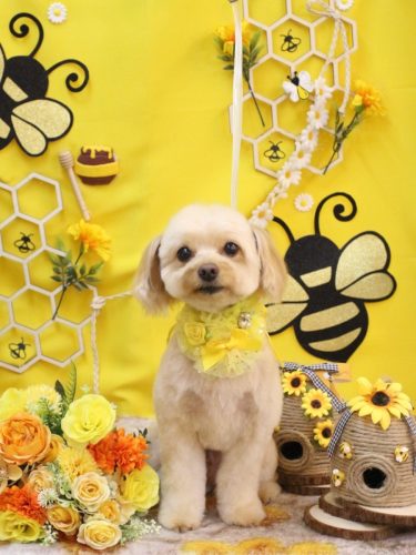 20250920ちゃいろくん