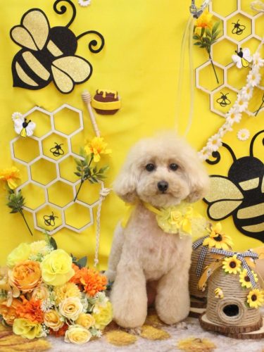 20250920サラちゃん