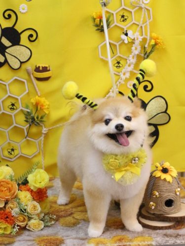 20250920モコくん