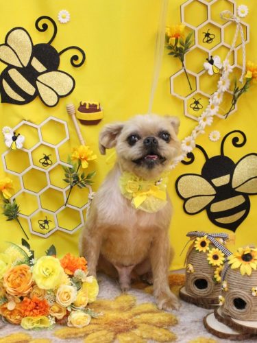 20250921ムーくん