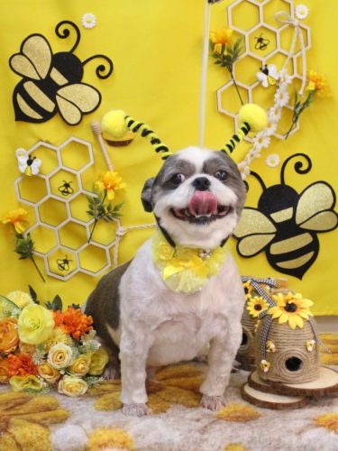 20250921大吉くん