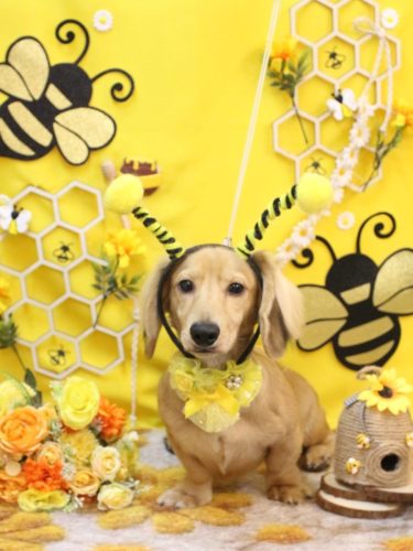 20250921レオくん