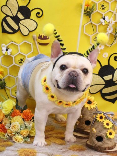 20250921だいずくん